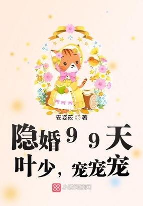 隐婚99天叶少,宠宠宠